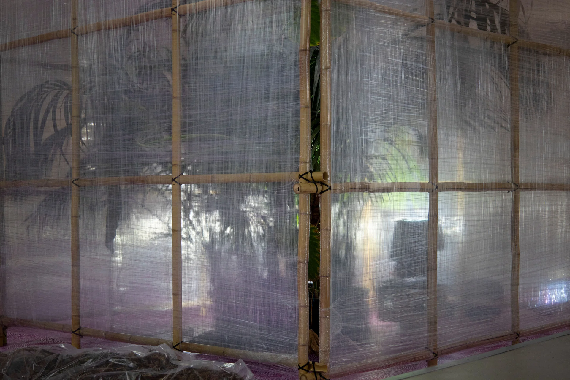 2026 02 06 28 Open Expo kaiser pinknoise 28