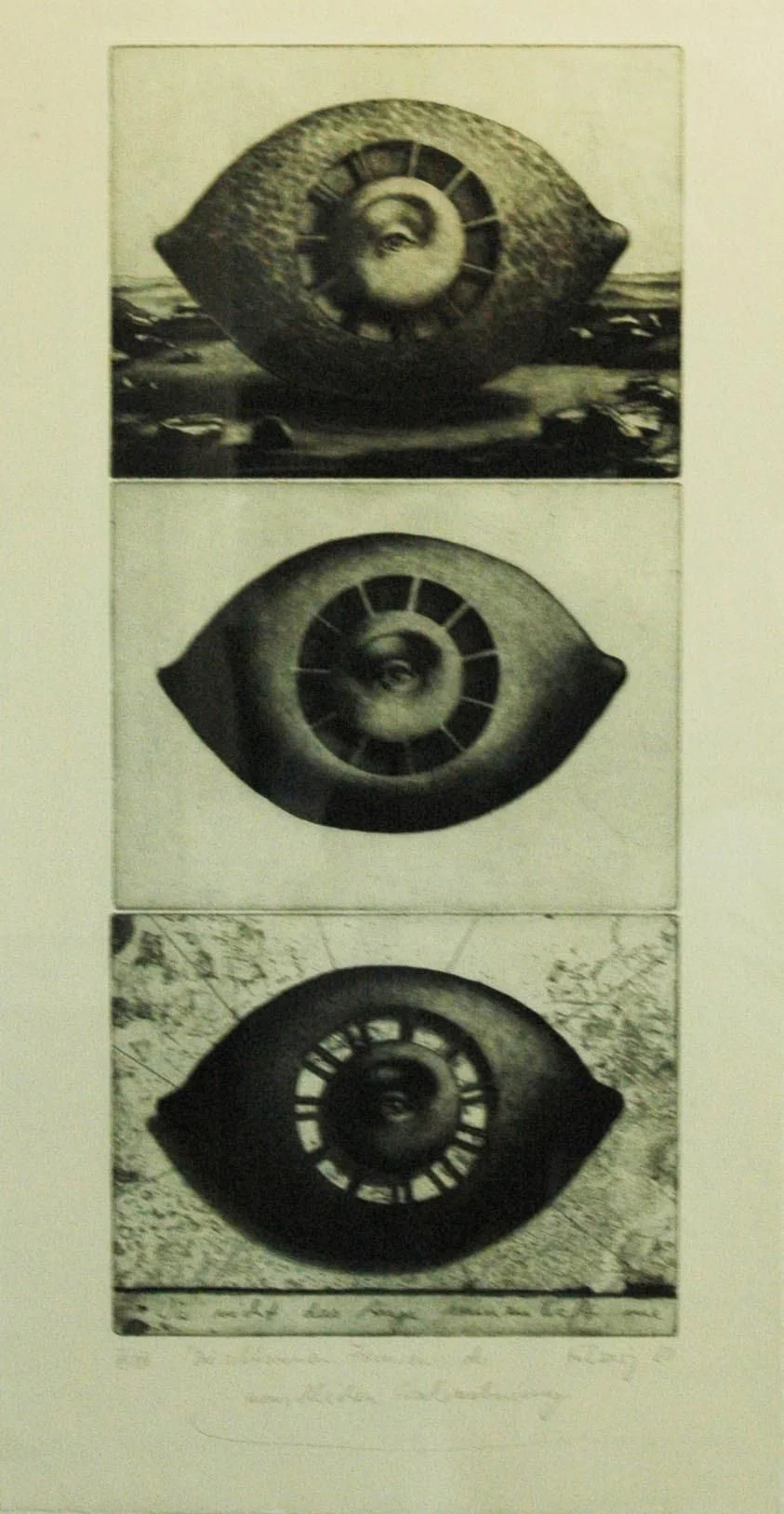 Die seltsamen Formen der menschlichen Wahrnehmung